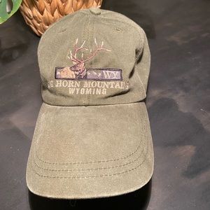Vintage dusty green wilderness Wyoming hat